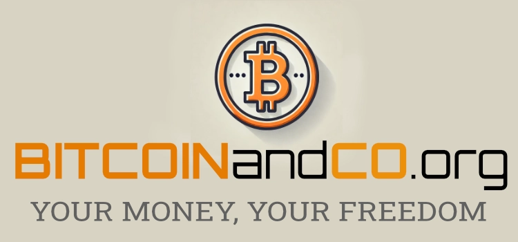 Bitcoin and co logo